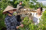 Ninh Bình: Giảm nghèo bền vững gắn với xây dựng nông thôn mới