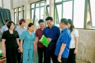 Hưng Yên đẩy mạnh ứng dụng khoa học, công nghệ trong nghiên cứu, sản xuất giống cây trồng