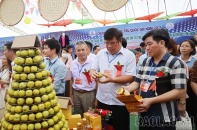 Xúc tiến thương mại, thu hút đầu tư vùng đồng bào dân tộc thiểu số