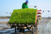 Hà Nội dành hơn 37 tỷ đồng mua 201 máy cấy hỗ trợ nông dân