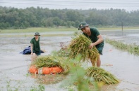 Hà Nội khẩn trương bù đắp sản lượng lương thực bị thiếu hụt do bão, lũ