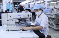 Doanh nghiệp dệt may với cuộc đua “xanh hoá"