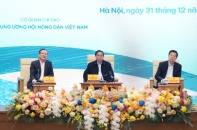 Chính phủ đưa ra nhiều giải pháp đồng bộ cho nông sản Việt