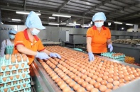 Kim ngạch xuất khẩu sản phẩm chăn nuôi tăng trưởng mạnh