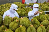 Xuất khẩu nông sản gặp khó đầu năm 2025