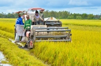 Hà Nội quy định mức nộp tiền khi chuyển đổi đất chuyên trồng lúa sang phi nông nghiệp