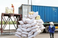 100.000 tấn gạo trắng Việt Nam sẽ xuất sang Bangladesh 