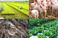Hết tháng 2/2025, xuất khẩu nông lâm thủy sản vượt mốc 9,3 tỷ USD