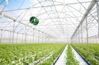 Hà Nội sẽ thành lập Trung tâm Nông nghiệp ứng dụng công nghệ cao
