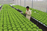 Hà Nội thành lập Trung tâm Kỹ thuật Nông nghiệp và Môi trường