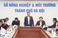 Hà Nội triển khai các giải pháp đồng bộ khắc phục ô nhiễm môi trường