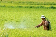 Giám sát vật tư nông nghiệp: Để đầu vào sạch, đầu ra mạnh