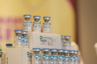 Tiêm vaccine dịch tả để phòng dịch, giữ nhịp tăng trưởng cho đàn lợn