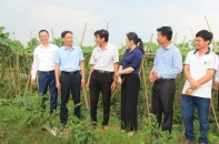Nông dân Bắc Ninh làm chủ hợp tác xã, dẫn dắt kinh tế tập thể