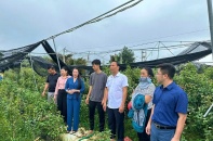Hà Nội đạt chuẩn nông thôn mới toàn diện sau gần 15 năm triển khai Chương trình mục tiêu quốc gia