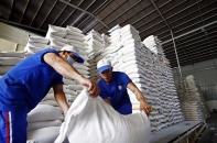 Gạo Việt mở rộng thị phần nhờ chất lượng cao và tiêu chuẩn xanh
