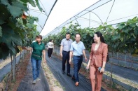 Hội Nông dân Hà Nội sẵn sàng vận hành mô hình chính quyền hai cấp từ 1/7