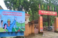 Xã Đoài Phương xây dựng nông thôn mới bền vững với mô hình nông nghiệp hiện đại