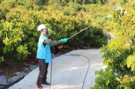 Tháo gỡ vướng mắc trong phân quyền, phân cấp lĩnh vực trồng trọt và bảo vệ thực vật