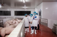 73% cơ sở giết mổ hoạt động chui gây hiểm họa cho sức khỏe người dân