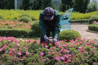 Mùa mưa bão và lời cảnh tỉnh cho an toàn du lịch Việt Nam