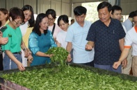 Thái Nguyên tạo sinh kế, nâng chất lượng cuộc sống người dân Thái Nguyên tạo sinh kế, nâng chất lượng cuộc sống người dân