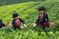 Thái Nguyên đặt mục tiêu giảm tỷ lệ hộ nghèo còn 4,65% trong năm 2025