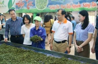 Thái Nguyên mở rộng sản xuất nông nghiệp VietGAP hướng tới thị trường chất lượng cao