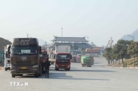 Bộ Nông nghiệp và Môi trường lập đường dây nóng xử lý vướng mắc Nghị định 46