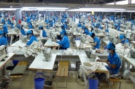 TNG thay Phó tổng giám đốc, Kế toán trưởng