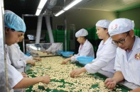 Tháng 1, xuất khẩu nông lâm thủy sản đạt trên 3 tỷ USD