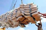 Xuất khẩu gạo tăng trưởng mạnh trong quý I