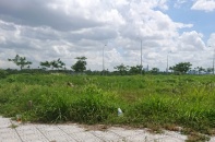 Bất động sản TP.HCM: Giao dịch đất nền bất ngờ giảm mạnh