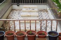 Tự xây bể cá, chủ nhà đất mỏ khổ 3 năm