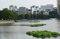 Hồ Ba Mẫu xanh trong sau khi được xử lý ô nhiễm