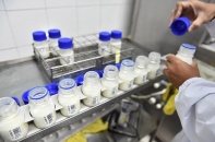 Khám phá 5 đặc quyền chỉ dành cho tín đồ của sữa Organic chuẩn Hà Lan