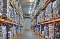 Các loại hình bất động sản có thể hái ra tiền mùa dịch