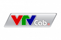 VTVcab thông báo mời cung cấp dịch vụ thẩm định giá 