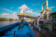 Doanh nghiệp phân bón đẩy mạnh tham gia chuỗi giá trị toàn cầu