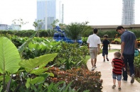 Cân bằng “đa trải nghiệm” tại Vườn Nhật The Zenpark