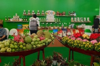 Đồng Tháp đón dự án Nhà máy chế biến trái cây, vốn đầu tư 250 tỷ đồng