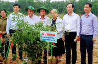 Đồng Tháp: Phát động Chương trình trồng một tỷ cây xanh - Vì một Việt Nam xanh