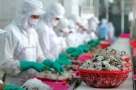 Trung bình mỗi tháng, gần 12.900 doanh nghiệp rút lui khỏi thị trường