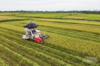 Hai vấn đề trầm trọng của nông nghiệp trong đại dịch