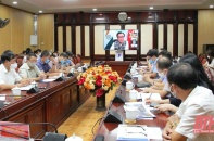 Doanh nghiệp Ấn Độ tìm hiểu đầu tư Dự án “Công viên dược phẩm” tại Thanh Hoá