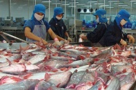 Liên kết vùng, tái khởi động ngành hàng cá tra sau dịch