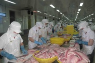 An Giang ban hành kế hoạch đảm bảo sản xuất ổn định trong tình hình dịch COVID-19