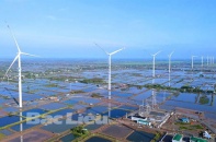 Bạc Liêu chính thức vận hành thương mại 2 dự án điện gió
