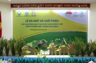 Sắp diễn ra Festival lúa gạo Việt Nam lần thứ V - Vĩnh Long năm 2021