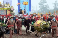 Chủ tịch nước Nguyễn Xuân Phúc dự Lễ hội Tịch điền Đọi Sơn Xuân Nhâm Dần 2022
